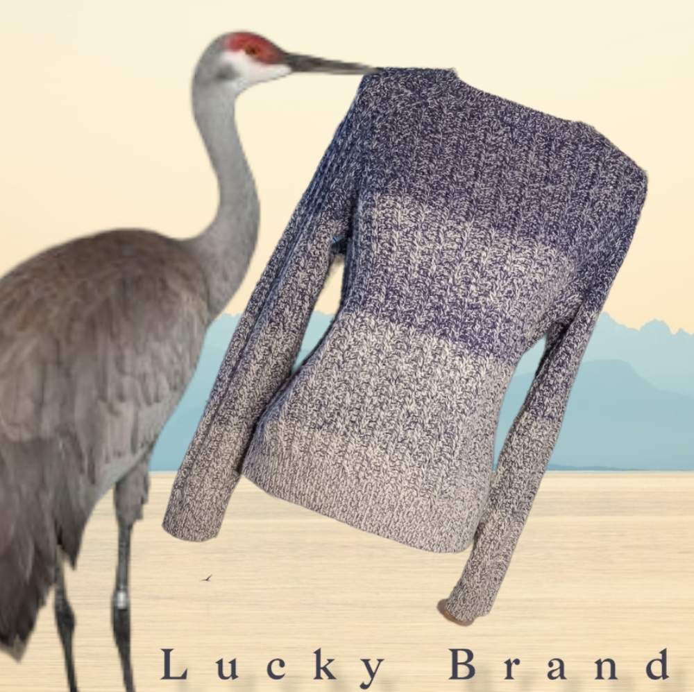 Lucky Brand Medium Weight - Crew Neck Knit Sweater